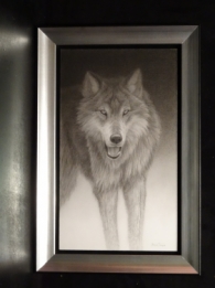 Wolf (2)